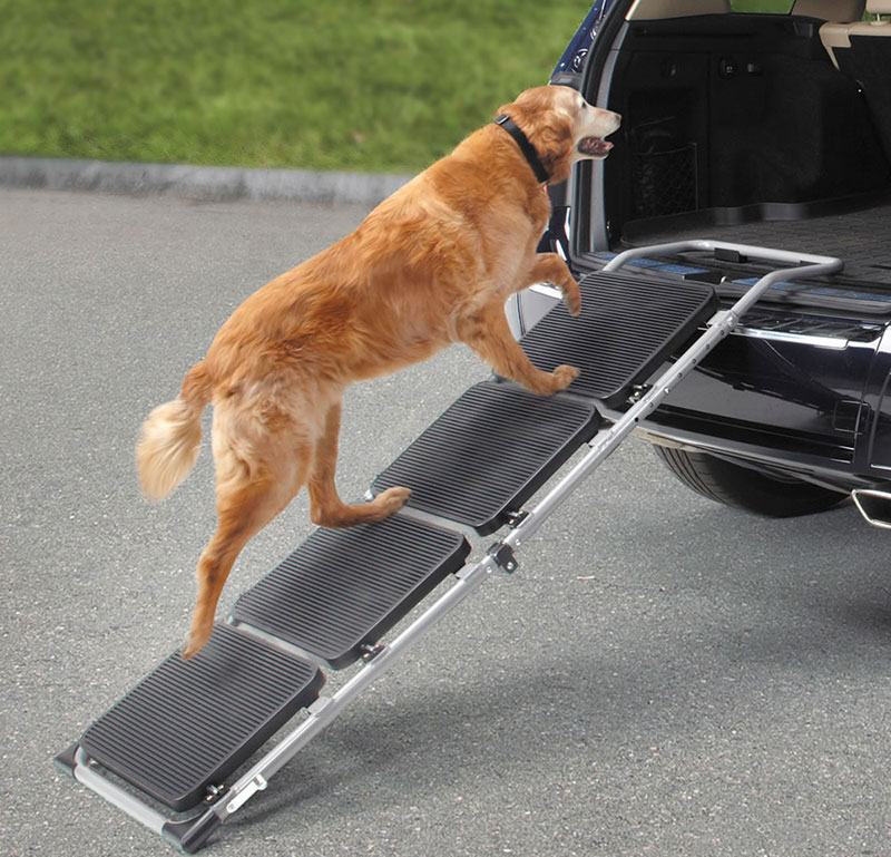 dog ramp for car