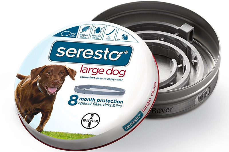 Top 10 Best Dog Flea and Tick Collars of 2022 Review