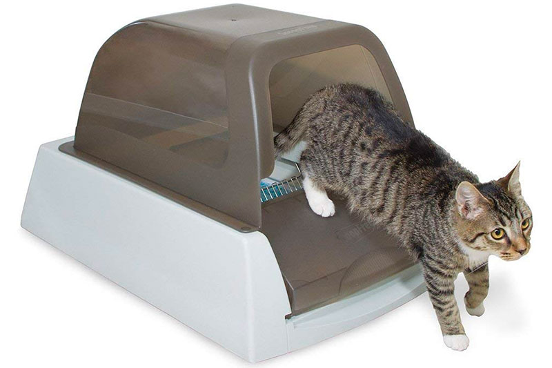 Top 10 Best Self-Cleaning Litter Box for Cats of 2022 Review
