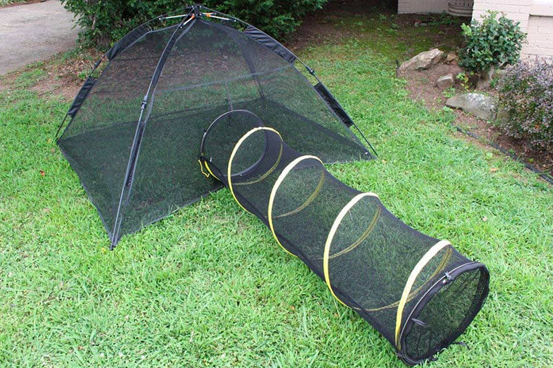 The 10 Best Cat Playpens for Outdoor of 2022 Review
