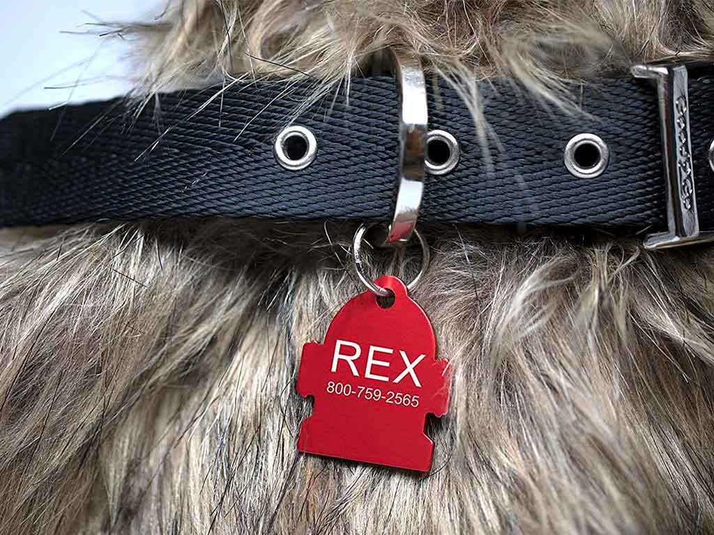 Top 10 Best Plastic Engraved Dog Tags of 2022 Review
