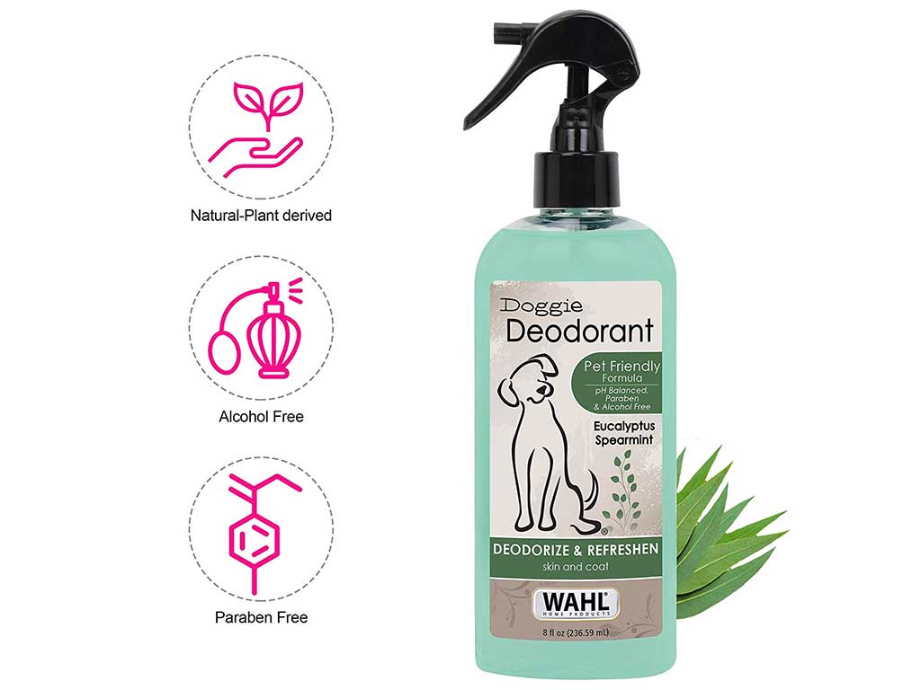 Top 10 Best Dog Deodorizing Spray of 2022 Review