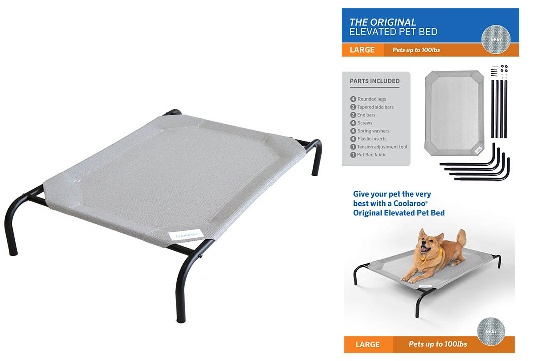 Coolaroo Elevated Pet Bed