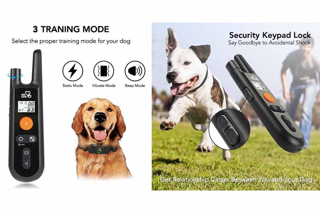 DOG CARE Dog Training Collar