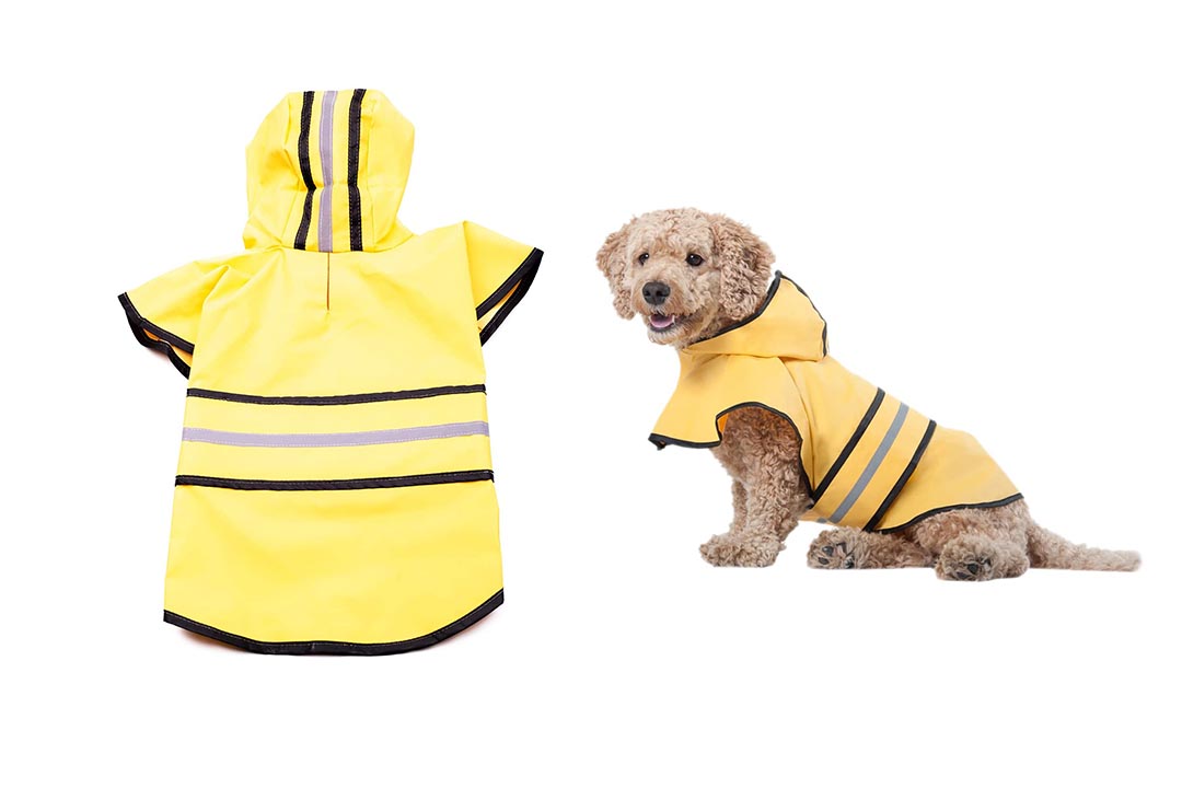 Fashion Pet Dog Raincoat