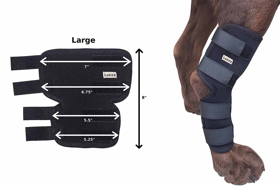 Labra Extra Supportive Dog Canine Rear Leg Hock