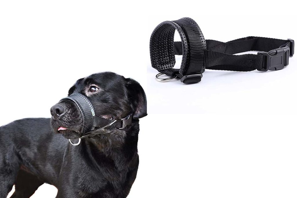 small dog muzzles for biting