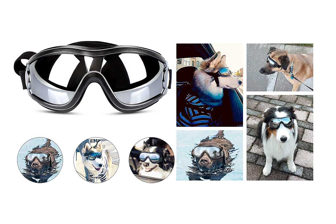 PEDOMUS Dog Sunglasses