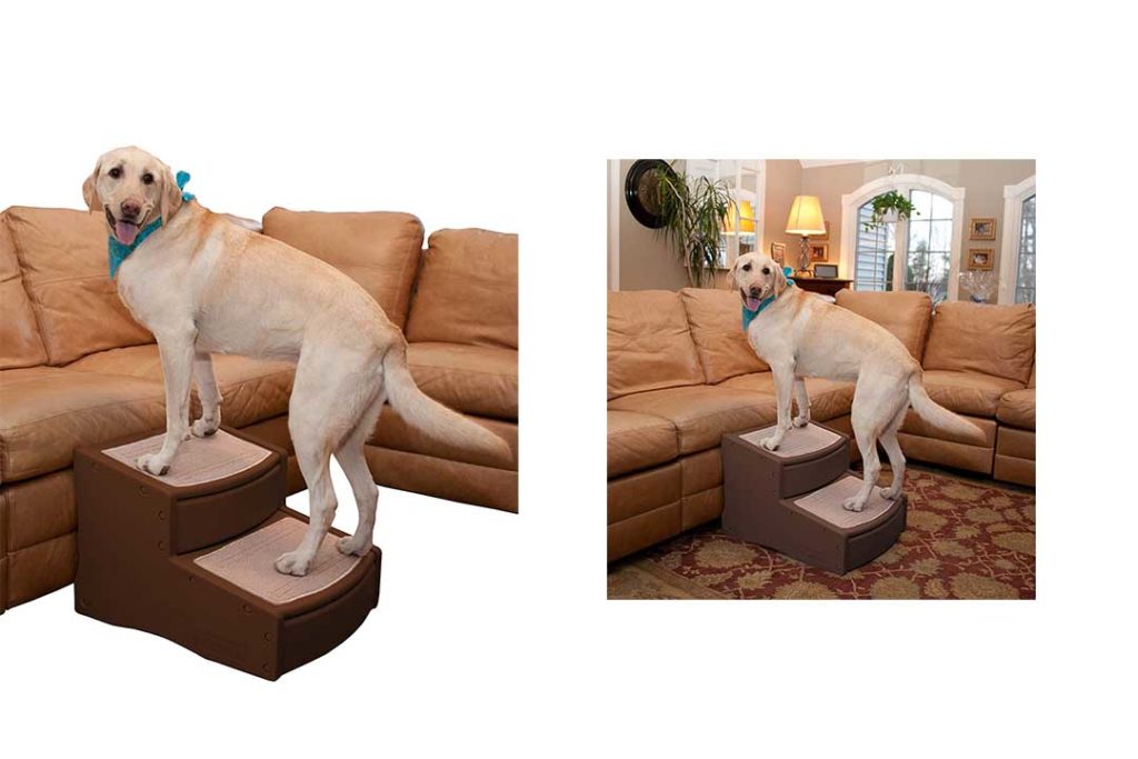 Top 10 Best Dog Stairs For Big Dogs of 2024 Review Best Pet Pro