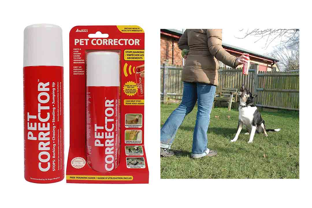 The Company of Animals Pet Corrector