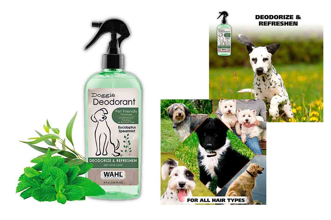 WAHL Deodorizing & Refreshing Pet Deodorant