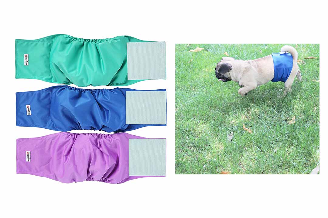 Wegreeco Washable Male Dog Diapers