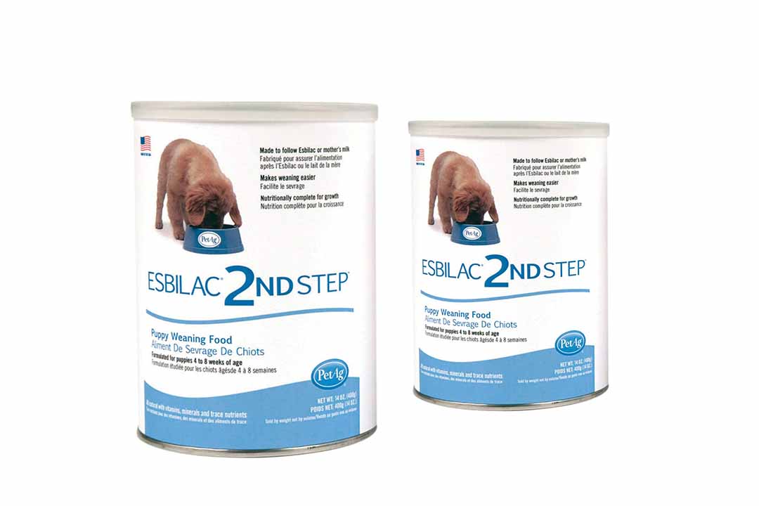 2nd Step Weaning Pup 14 oz