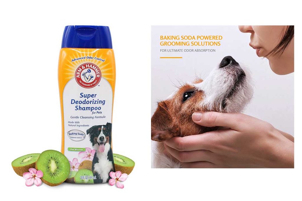 Top 10 Best Puppy Shampoos of 2022 Review & Buyer's Guide Best Pet Pro