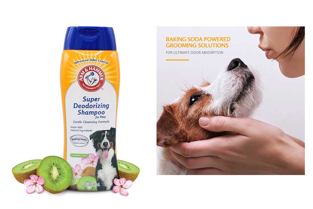 Arm & Hammer Super Deodorizing Shampoo for Dogs