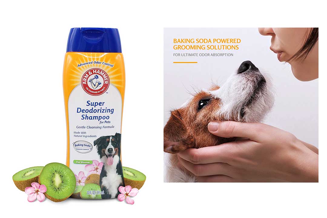 arm and hammer puppy shampoo