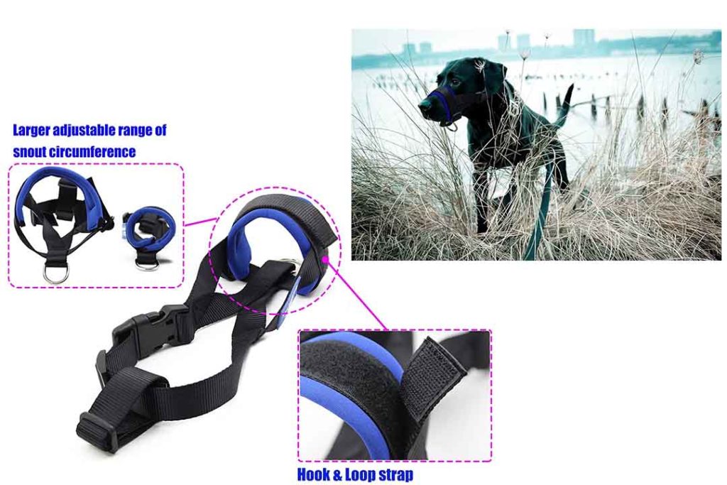best dog muzzle for biting