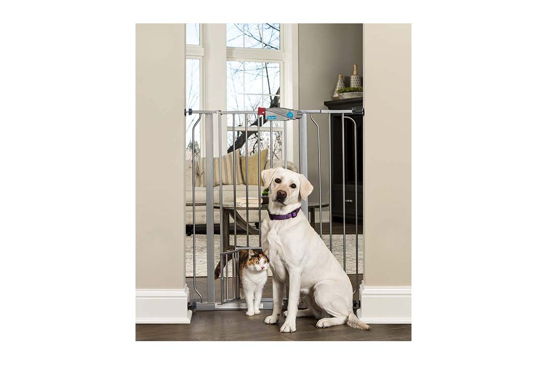 Carlson Pet Products Platinum Extra Tall Gate with Pet Door