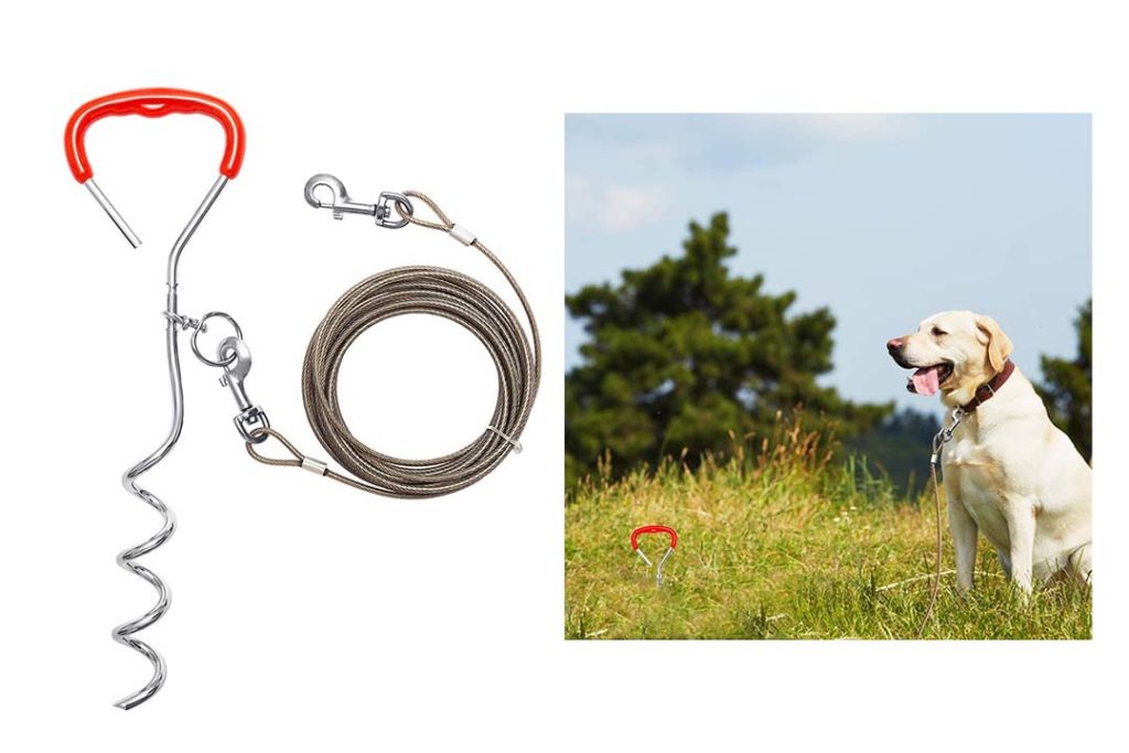 The 10 Best Dog Tie Out of 2022 Review Best Pet Pro