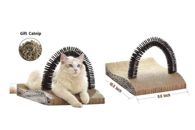 Top 10 Best Cat Self Grooming Arch of 2024 Review Best Pet Pro