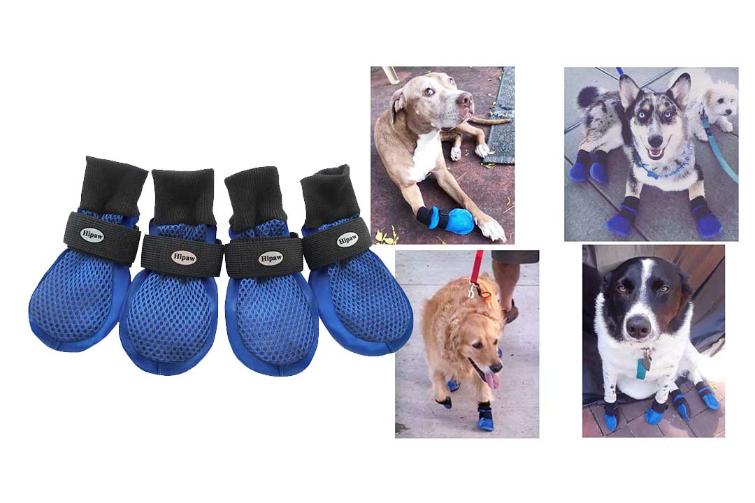 HiPaw Breathable Mesh Dog Boots