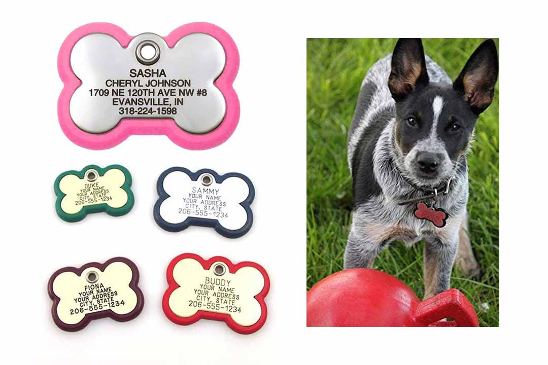 LuckyPet Pet ID Tag