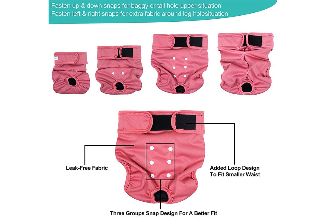 Paw Legend Reusable Female Dog Diapers