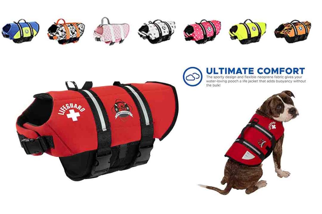 Top 10 Best Dog Life Jacket of 2024 Review Best Pet Pro