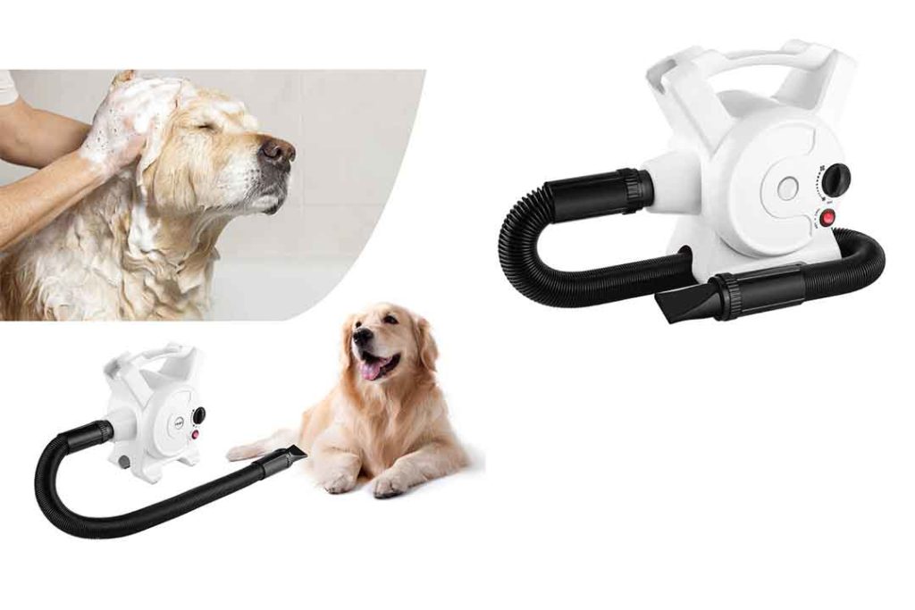 The 10 Professional Dog Hair Dryers of 2023 Review Best Pet Pro