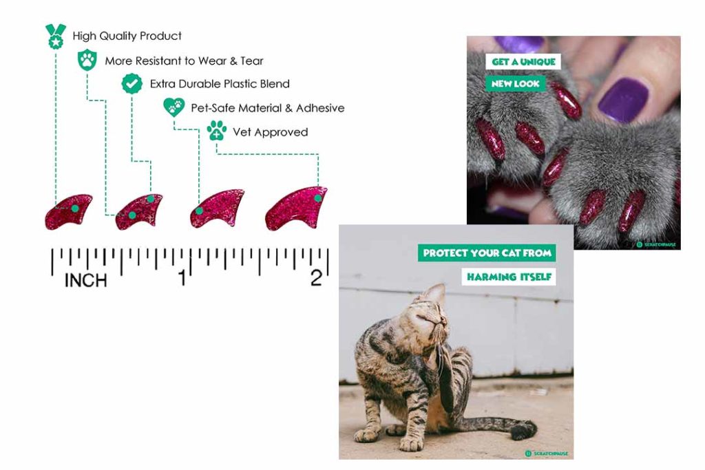 Top 10 Best Pet Claw Cap of 2022 Review Best Pet Pro