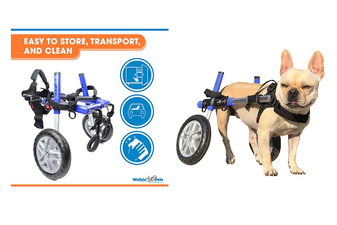 Walkin' Wheels Dog Wheelchair - for Small Dogs