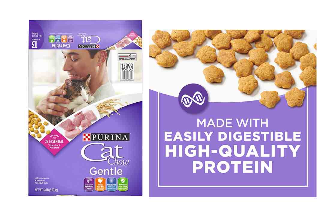 purina gentle dry cat food