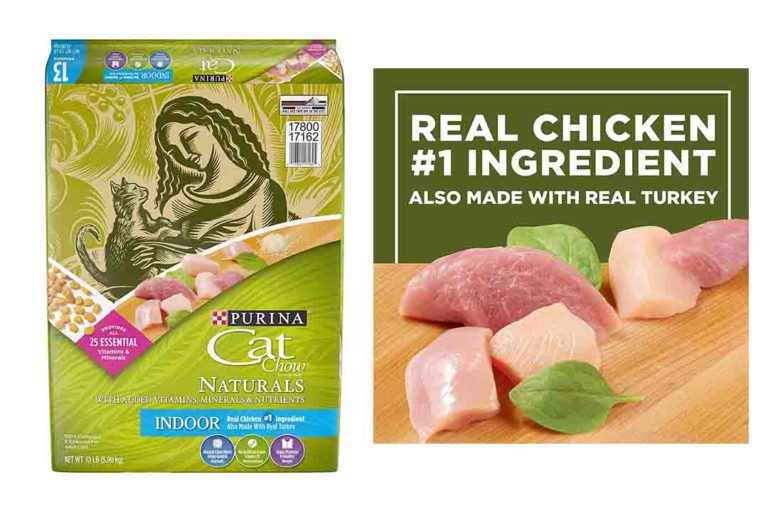 Top 10 Best Vet Dry Cat Food of 2024 Review Best Pet Pro