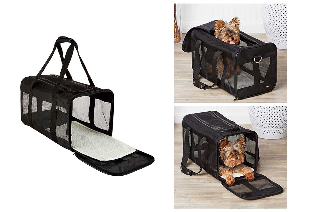 AmazonBasics Soft-Sided Pet Travel Carrier