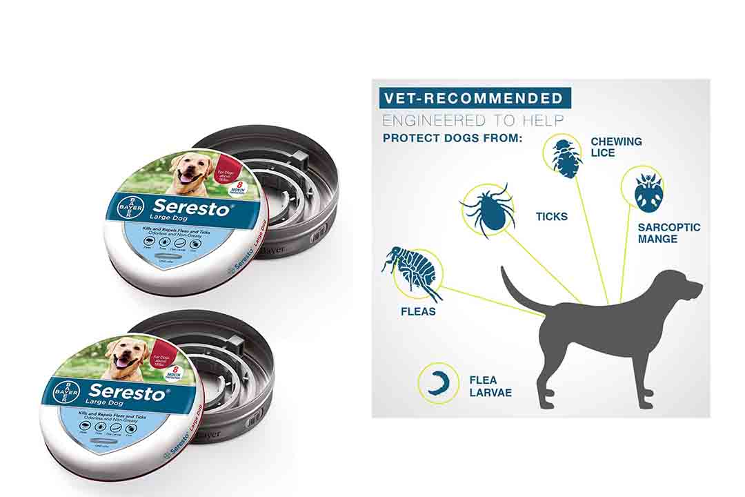 Bayer Seresto Flea and Tick Collar