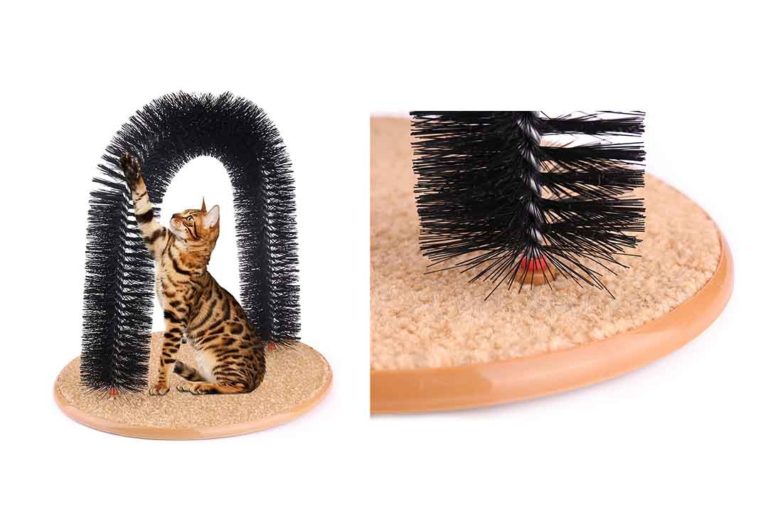 cat grooming toy