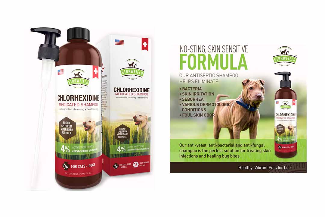 Chlorhexidine Shampoo for Dogs + Cats