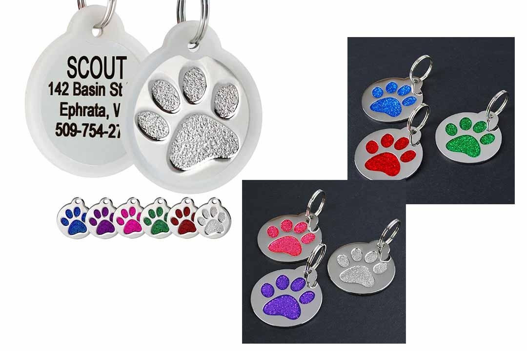 GoTags Paw Print Route Stainless Steel Pet ID Tag