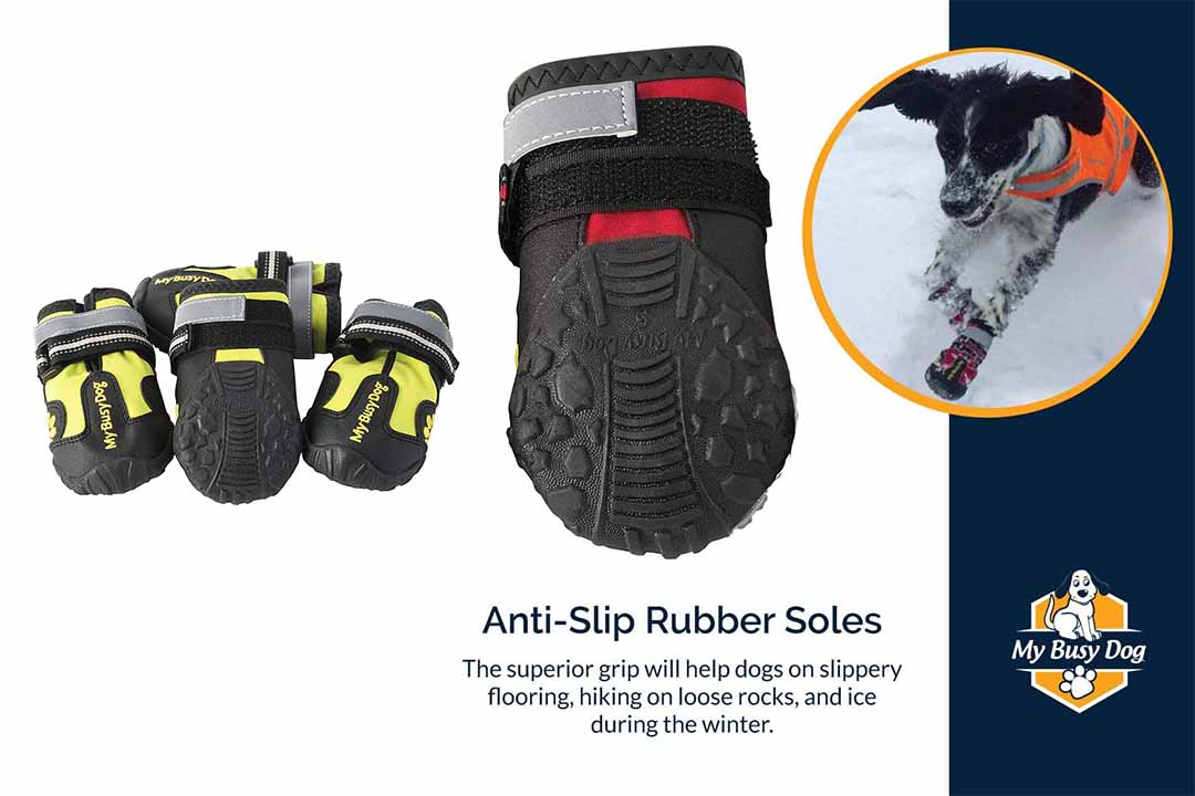 My Busy Dog Water Resistant Dog Shoes