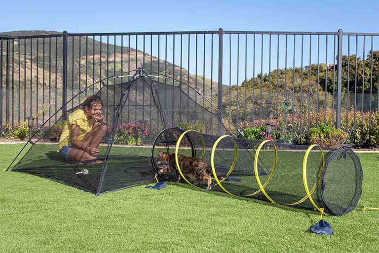 The 10 Best Cat Playpens for Outdoor of 2023 Review Best Pet Pro