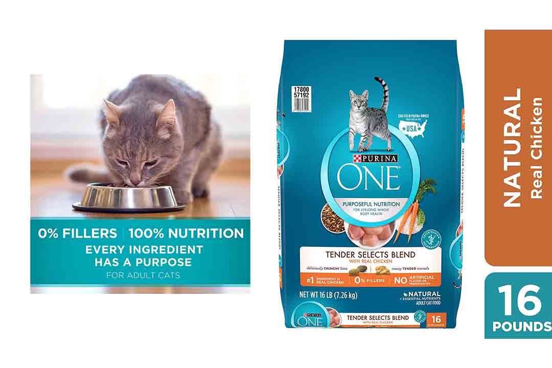 Purina ONE Tender