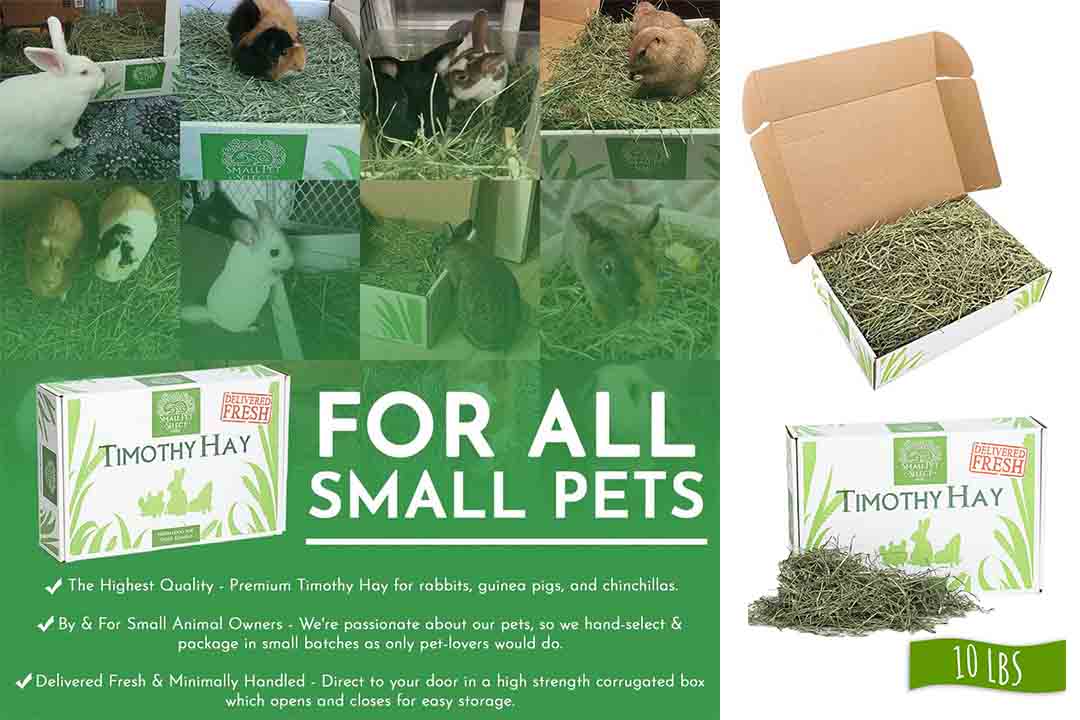 Small Pet Select 2nd Cutting Perfect Blend Timothy Hay Pet Food