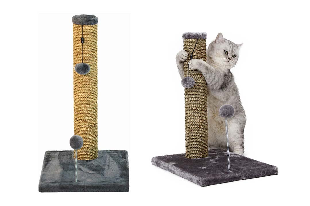 Cat Craft Seagrass Scratching Post with Sprin