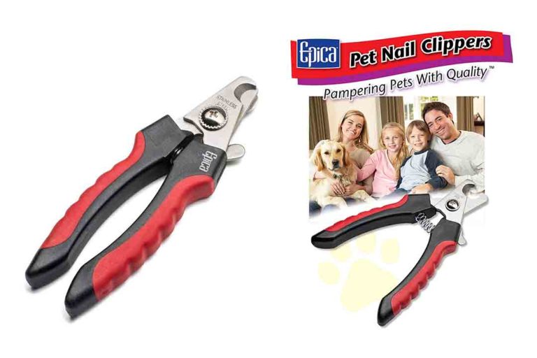 best nail clipper for large dogs
