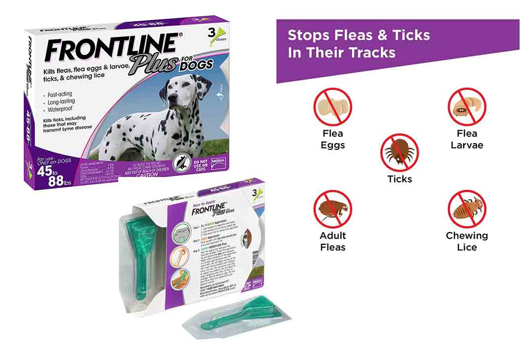Frontline Plus Flea and Tick Control