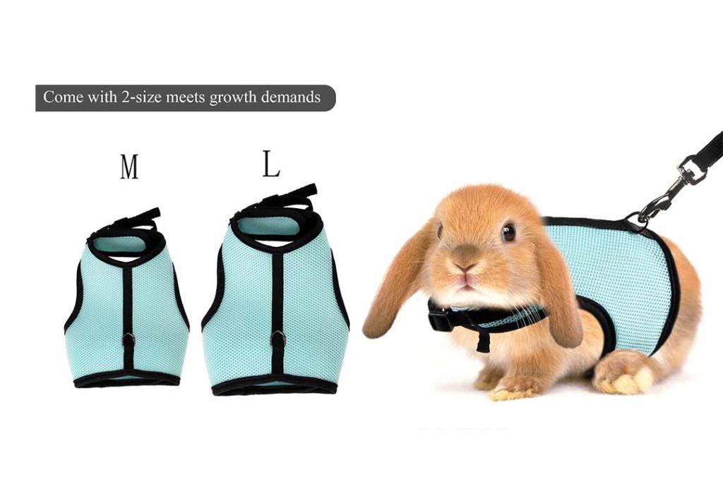 The 10 Best Breathable Bunny Harness of 2023 Review & Buyer's Guide