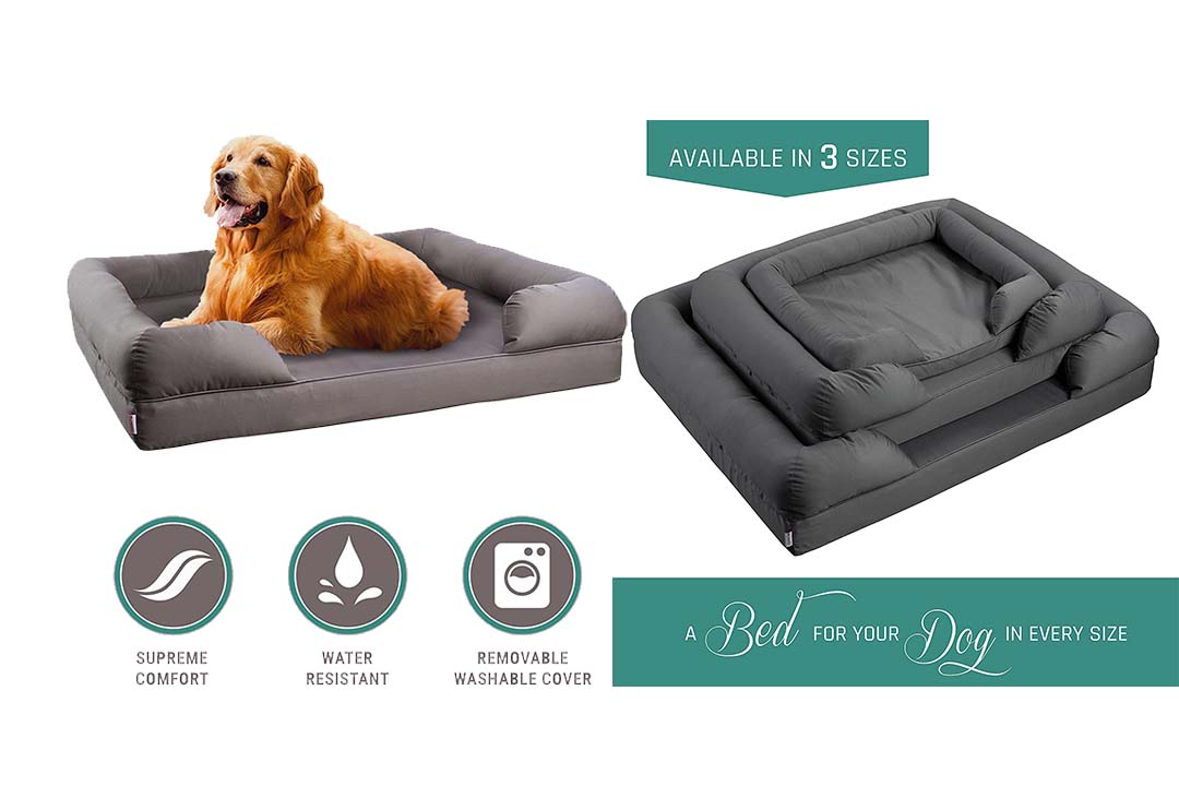 Petlo Orthopedic Pet Sofa Bed