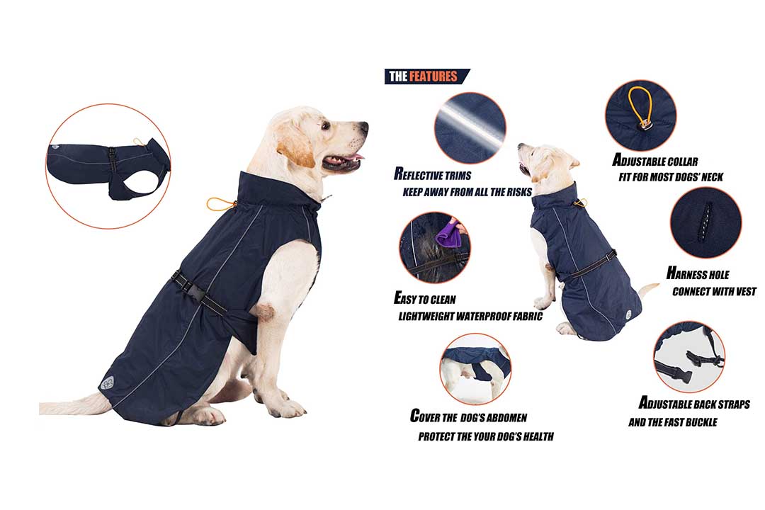 Pro Plums Dog Raincoat