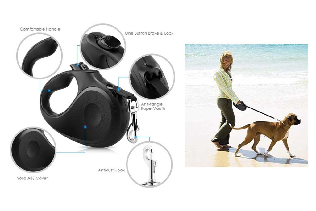 Top 10 Best Retractable Dog Leashes of 2022 Review Best Pet Pro