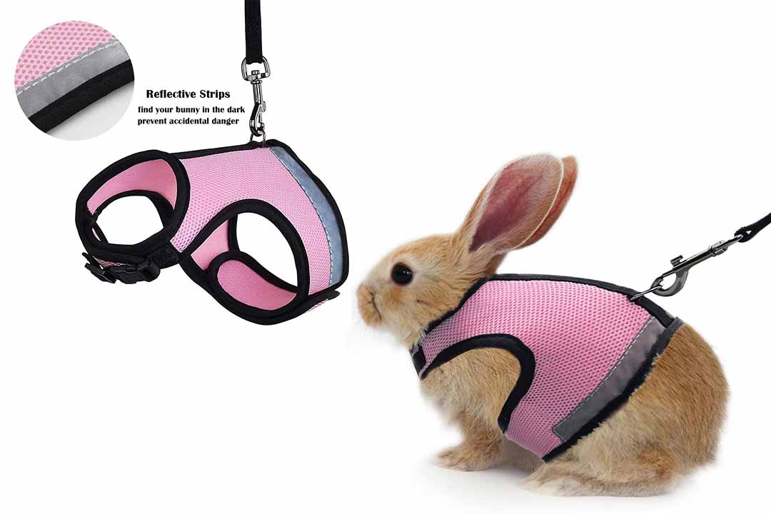 ATAILOVE Rabbit Harness